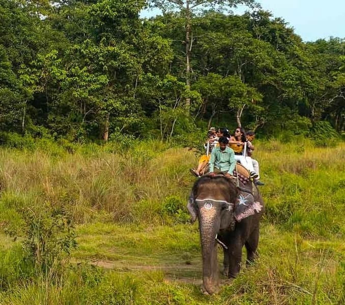 Chitwan Jungle Safari Day Tour