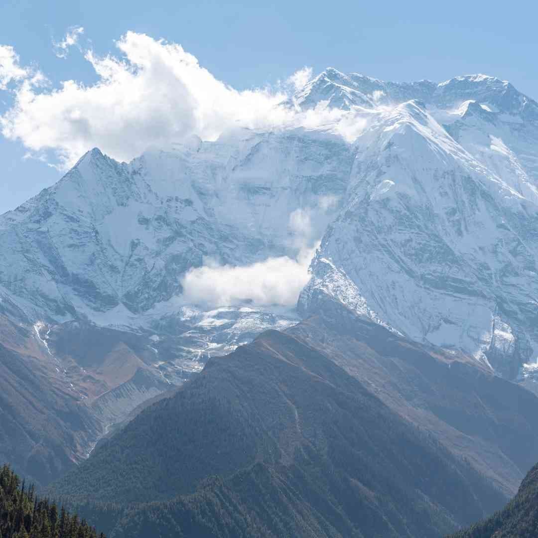 Jmt1