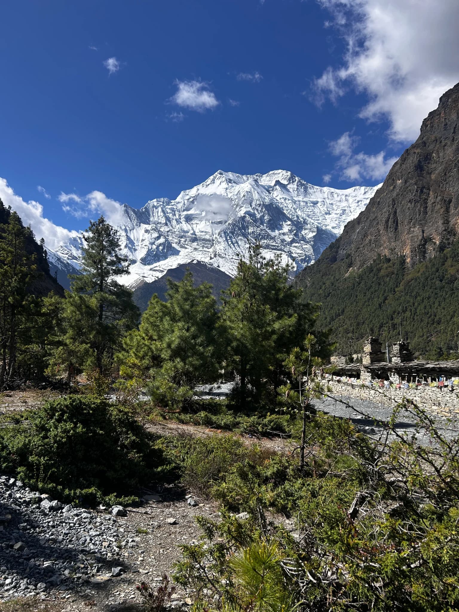 Manaslu With Annapurna Circuit Trek
