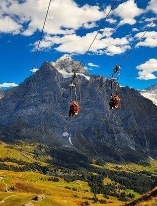 Zip Flyer