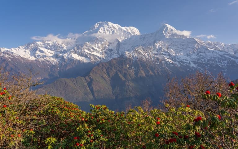 How Do You Plan the Mardi Himal Trek Step by Step?