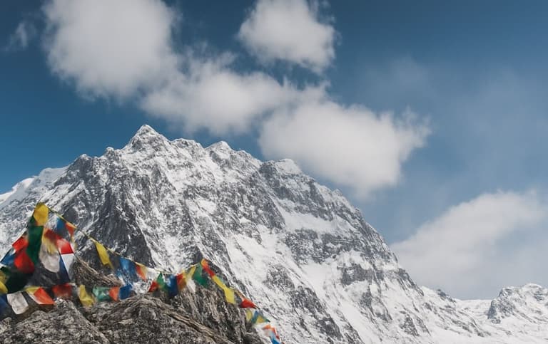 Mardi Himal Trek vs Langtang Valley Trek: Which Trek Is Better?