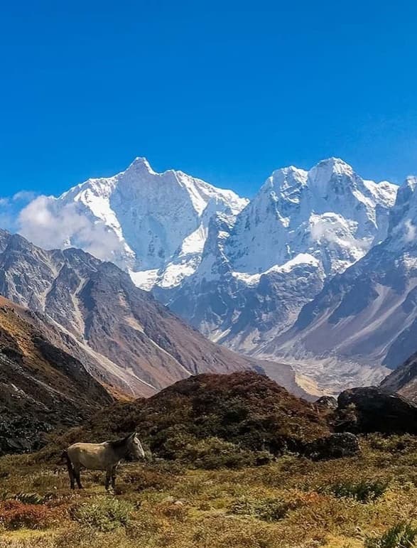Kanchenjunga Region