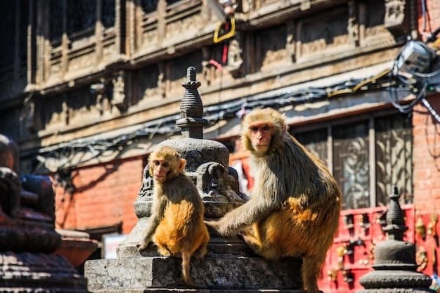 Kathmandu Valley Private Day Tour