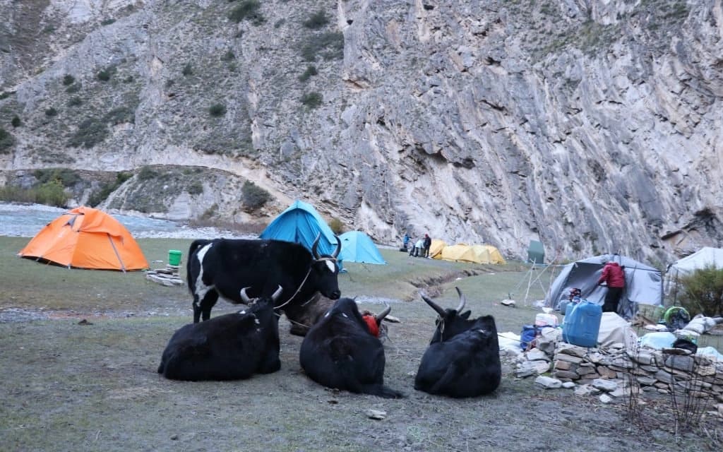 Lower Dolpo Trek