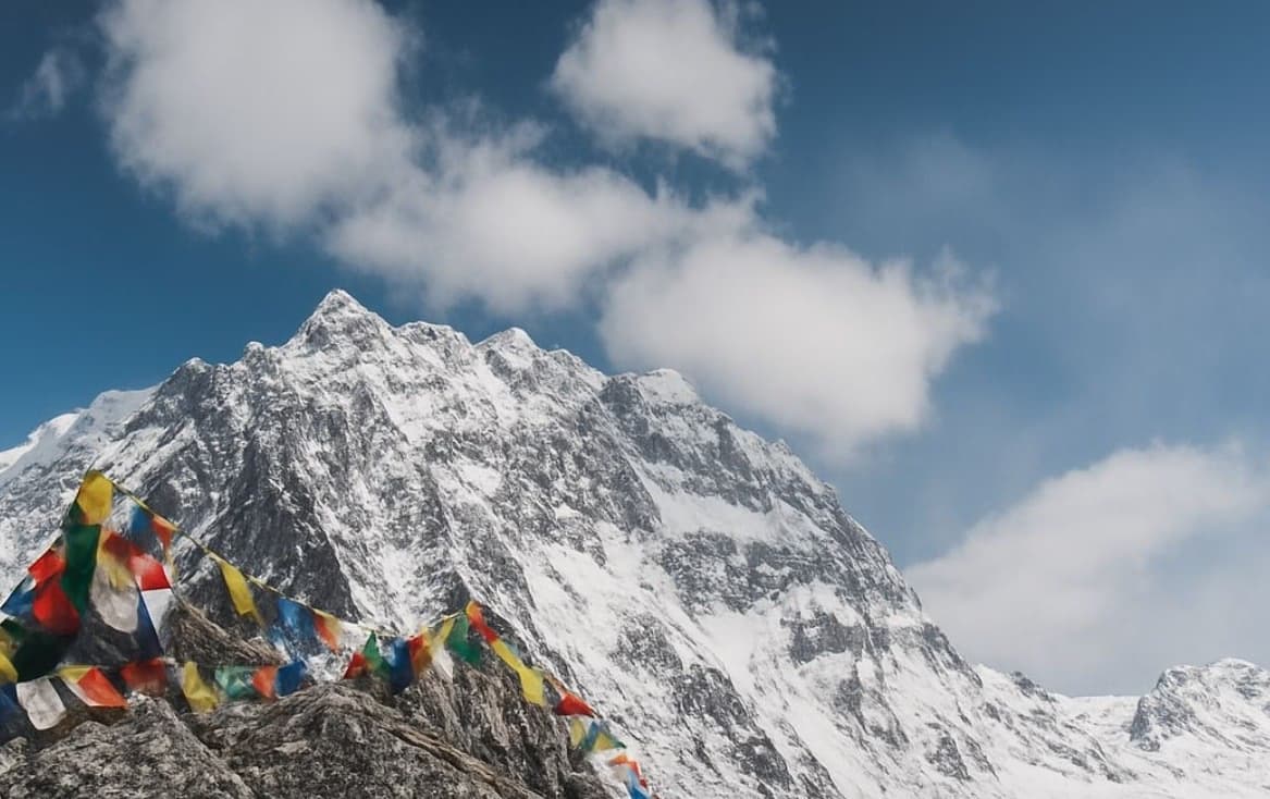 Mardi Himal Trek vs Langtang Valley Trek: Which Trek Is Better?