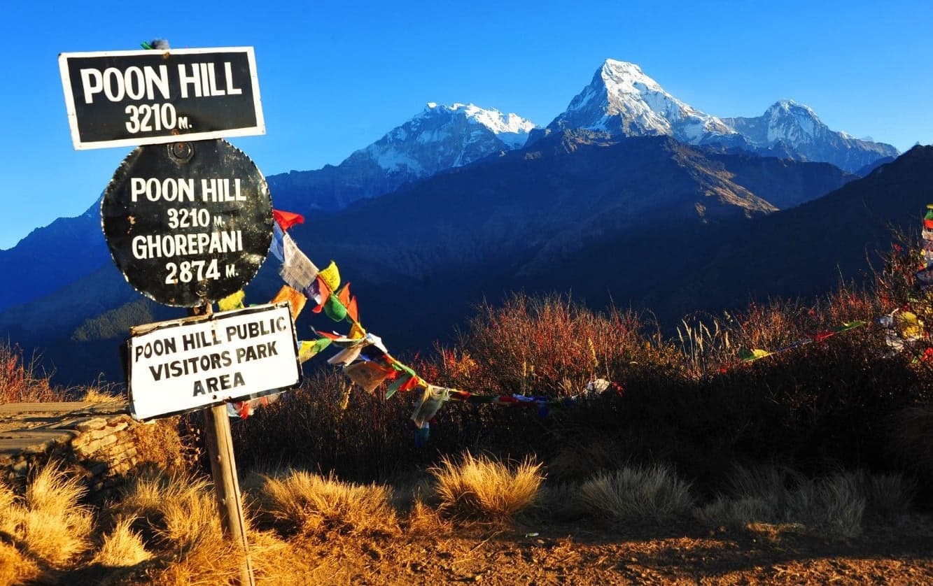 Mardi Himal Trek vs Poon Hill Trek: Which Trek Best for You?