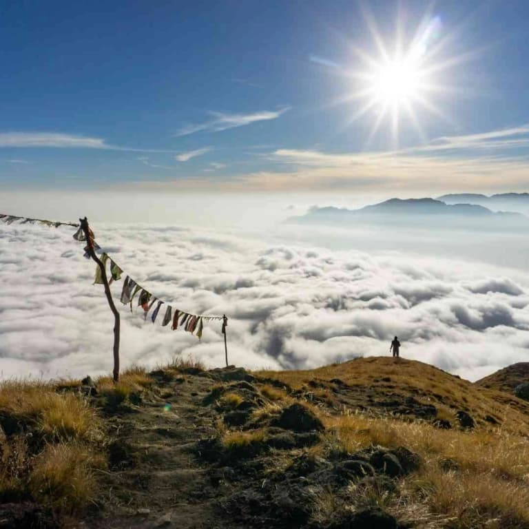 How to Choose the Best Trekking Company for Mardi Himal Trek?
